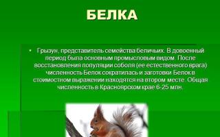 Животный мир красноярского края Презентация растительный и животный мир красноярского края